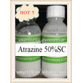 Venda quente, herbicde seletivo - Astrazina 97% TC CAS NO.:1912-24-9